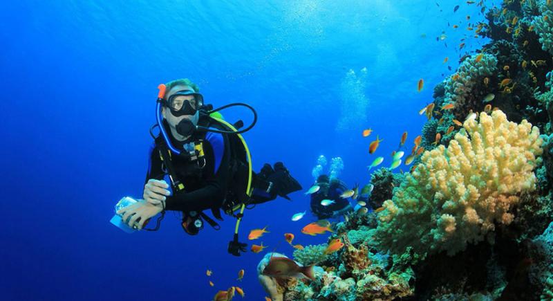 Как выбрать размер гидрокостюма?