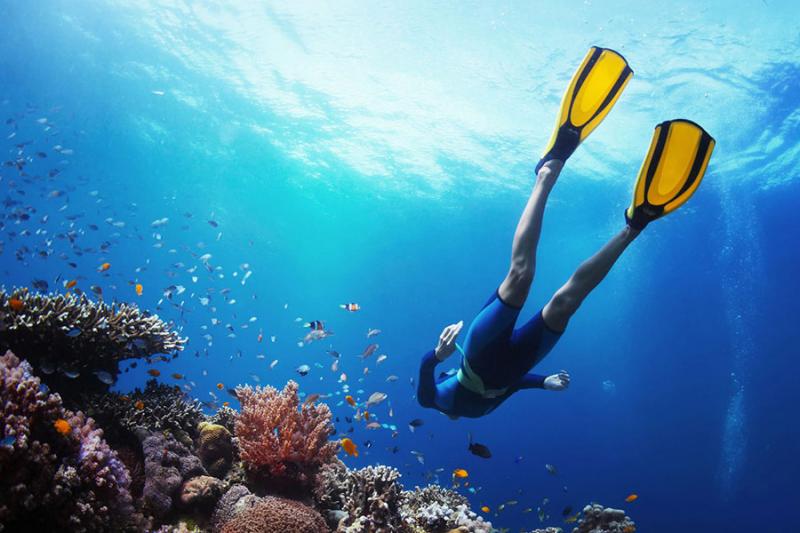 Как выбрать ласты для снорклинга?