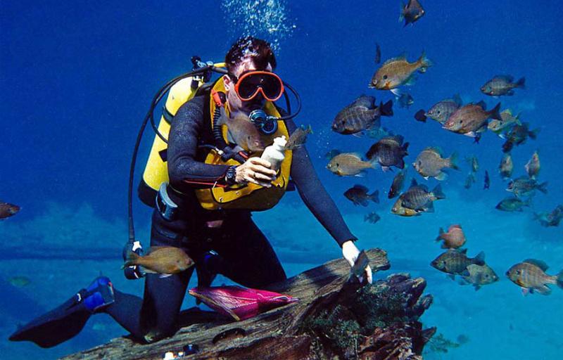 Какой фирмы выбрать ласты?