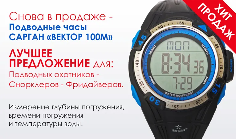 Часы Вектор